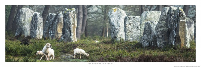 Photo The Carnac standing stones  Morbihan - Brittany par Philip Plisson