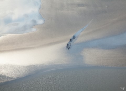 Photo Low tide on the Mont-Saint-Michel bay, Normandy par Philip Plisson