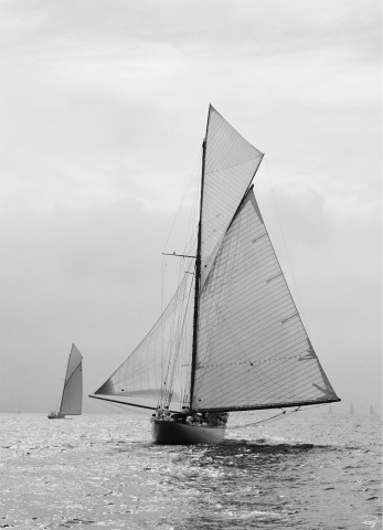 Photo Altaïr at the Nioulargue, Classic sails par Philip Plisson