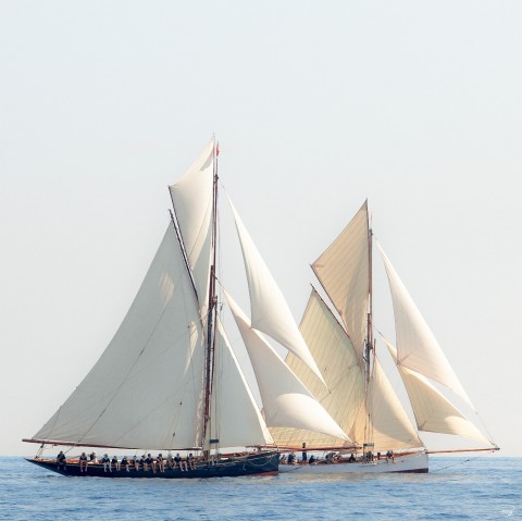 Photo Voiliers bord à bord, classiques yachts par Philip Plisson