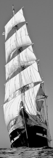 Photo The three-masted Belem, all sails out par Philip Plisson