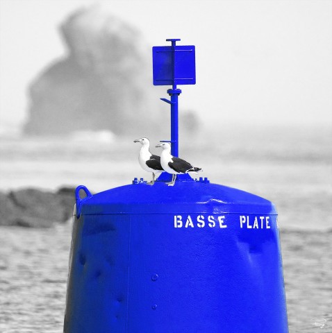Photo Tourelle bleue, balisage maritime par Philip Plisson