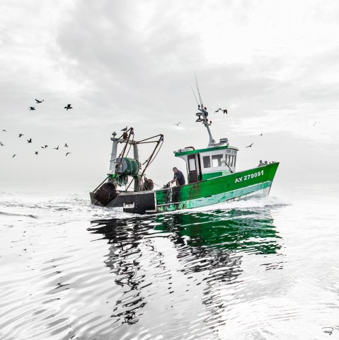 Photo Back from fishing in Quiberon's bay, Brittany par Philip Plisson