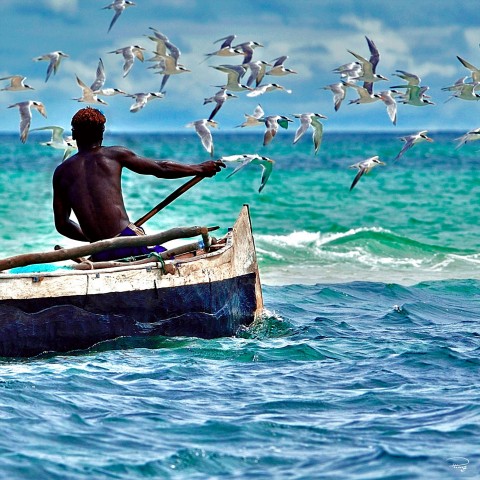 Photo Fishing pirogue, Madagascar par Philip Plisson