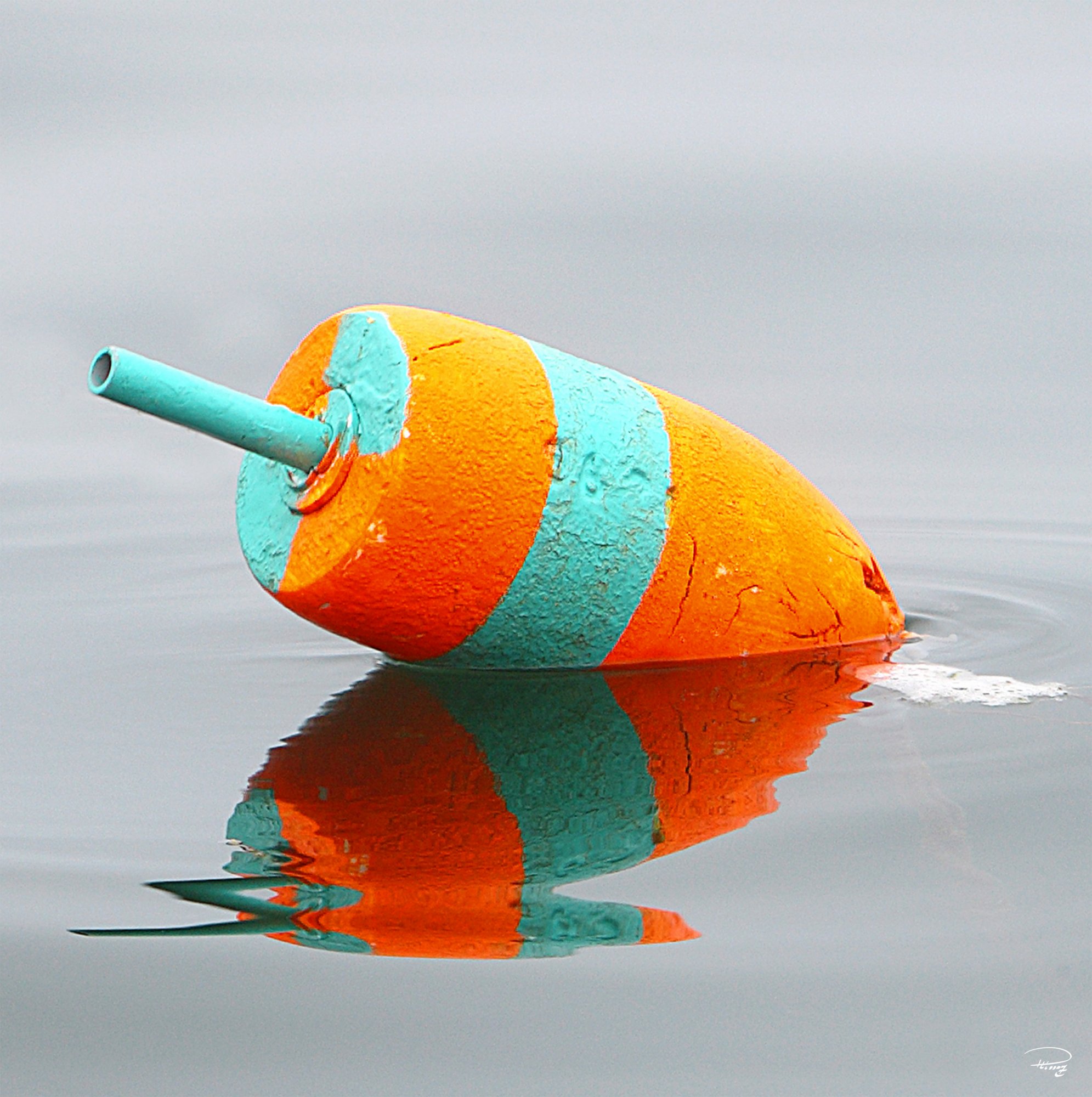 Canvas Green and orange lobster trap buoy by Philip Plisson • Galerie  Plisson - La Trinité-sur-Mer