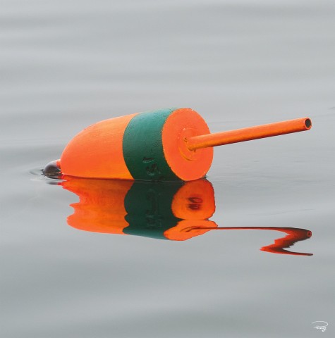 Photo Orange and green lobster trap buoy par Philip Plisson