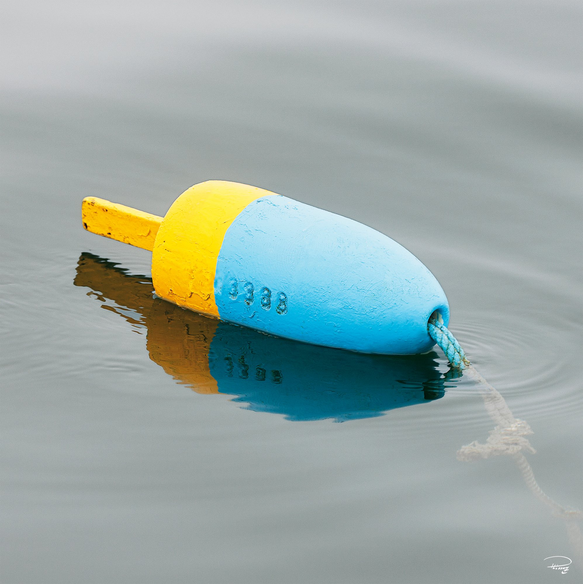 Canvas Blue and yellow lobster trap buoy by Philip Plisson • Galerie  Plisson - La Trinité-sur-Mer