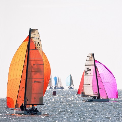 Photo Orange and pink spinnaker regatta par Philip Plisson