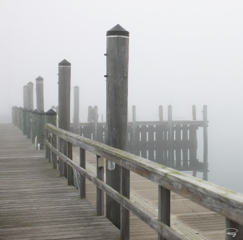 Photo Trio passerelle dans la brume, USA par Philip Plisson