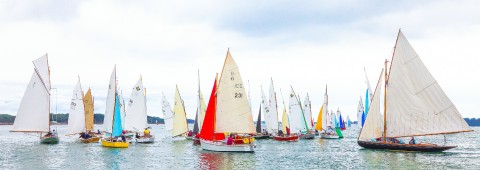 Photo Rally of sailboats during Gulf week par Philip Plisson