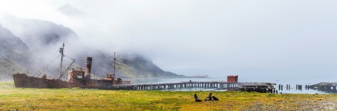 Photo Grytviken, South Georgia par Philip Plisson