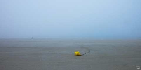 Photo Basse mer, Bretagne par Philip Plisson