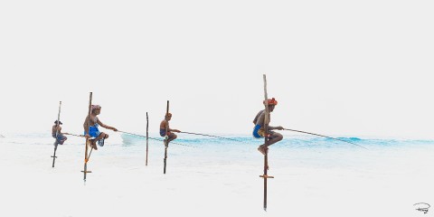 Photo Fishermen on stilts, Sri Lanka par Philip Plisson