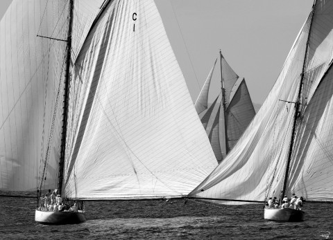 Photo Wall of sails, classic yacht par Philip Plisson