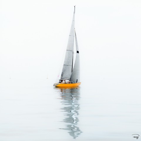Photo 6 meters JI, yellow hull sailboat par Philip Plisson