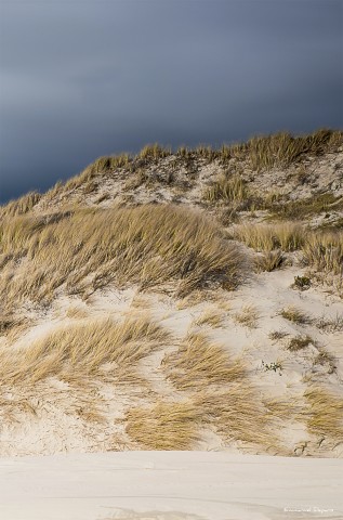 Photo Dunes on Opale coast, France par Emmanuel Deparis