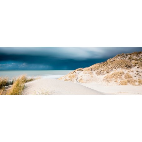 Dunes sur la côte d'Opal