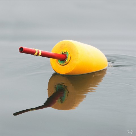 Photo Yellow Buoy par Philip Plisson