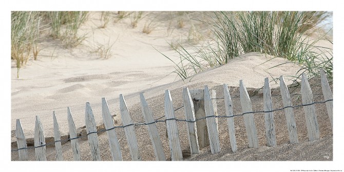 Photo Dans les dunes, Bretagne par Philip Plisson