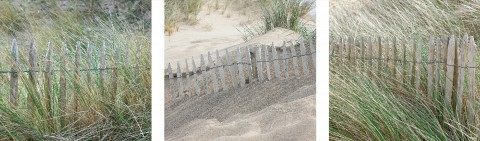 Photo Dune and  ganivelles in Brittany par Philip Plisson