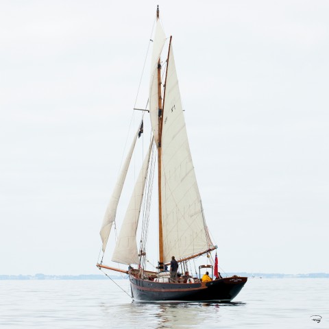 Photo Traditional sailing, old rigging par Philip Plisson