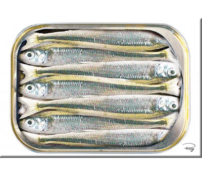 Photo Magnet, boite de sardines par Philip Plisson