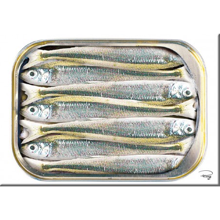 Magnet, boite de sardines • Galerie Plisson - La Trinité-sur-Mer