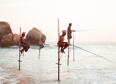 Photo Pêcheurs sur leurs échasses au Sri Lanka par Philip Plisson