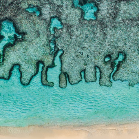 Photo Seychelles reef drawings par Philip Plisson
