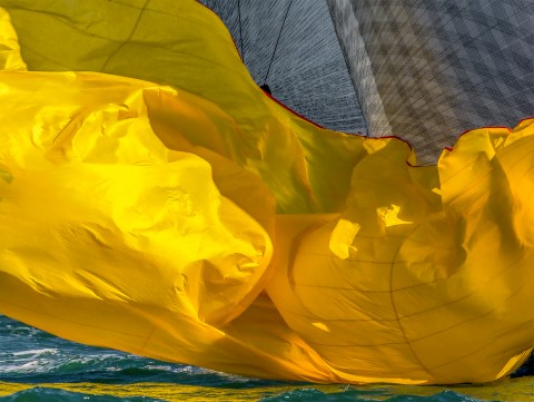 Photo Spi jaune à l'eau par Philip Plisson