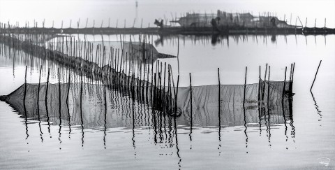 Photo In the Lagoon of Venice par Philip Plisson