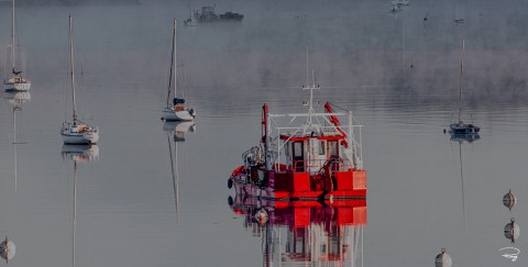 Photo Mist on the River of Crac'h par Philip Plisson