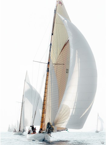 Photo Tuiga - Yacht Club de Monaco par Philip Plisson