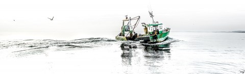 Photo Bateau vert en retour de pêche par Philip Plisson