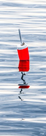 Photo A red and white lobster trap buoy par Philip Plisson