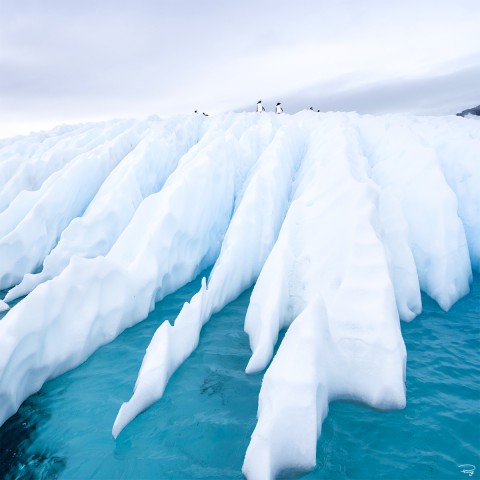 Photo Sculpture de Glacier par Philip Plisson