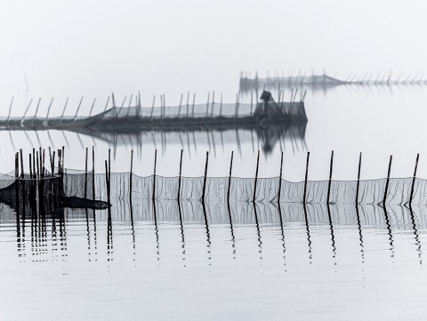 Photo Dans la lagune de Venise par Philip Plisson