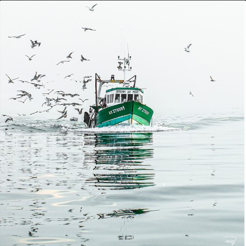 Photo Retour de pêche en Bretagne par Philip Plisson