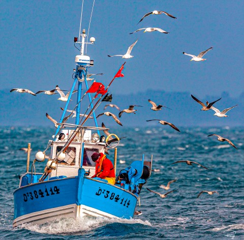 Photo Retour de pêche en Bretagne par Philip Plisson