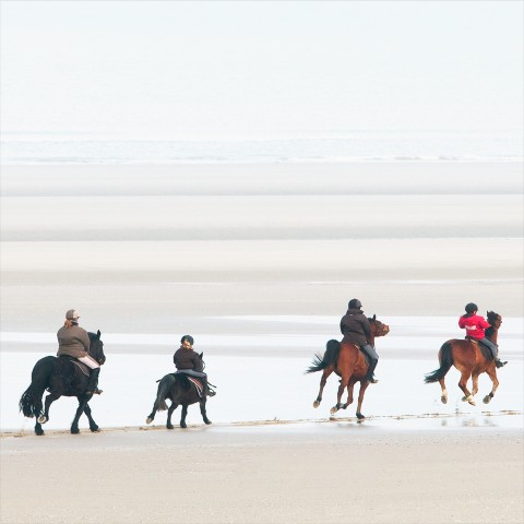 Photo Horseback riding on the beach par Philip Plisson