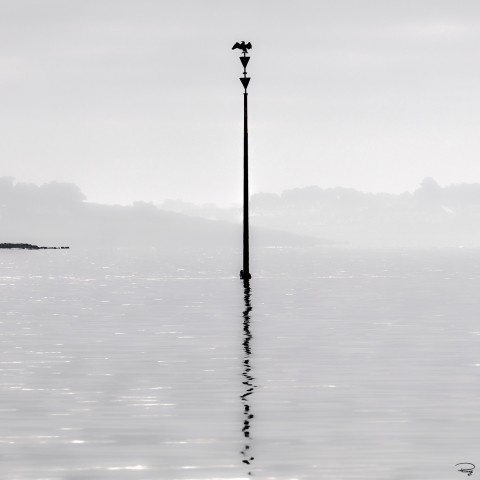 Photo Reflet de Cormoran sur la Cardinale Sud par Philip Plisson